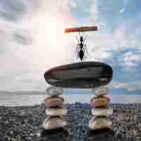 简​单﻿收‍银‌软​件‌